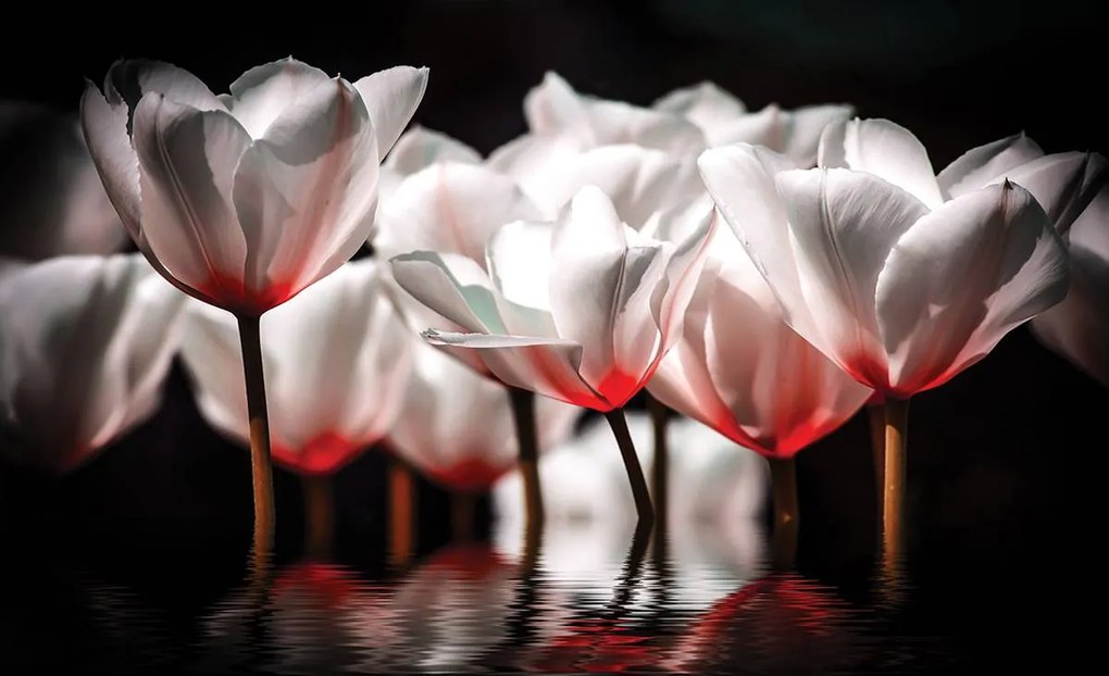Fototapet - Flori - tonul roșu (152,5x104 cm)