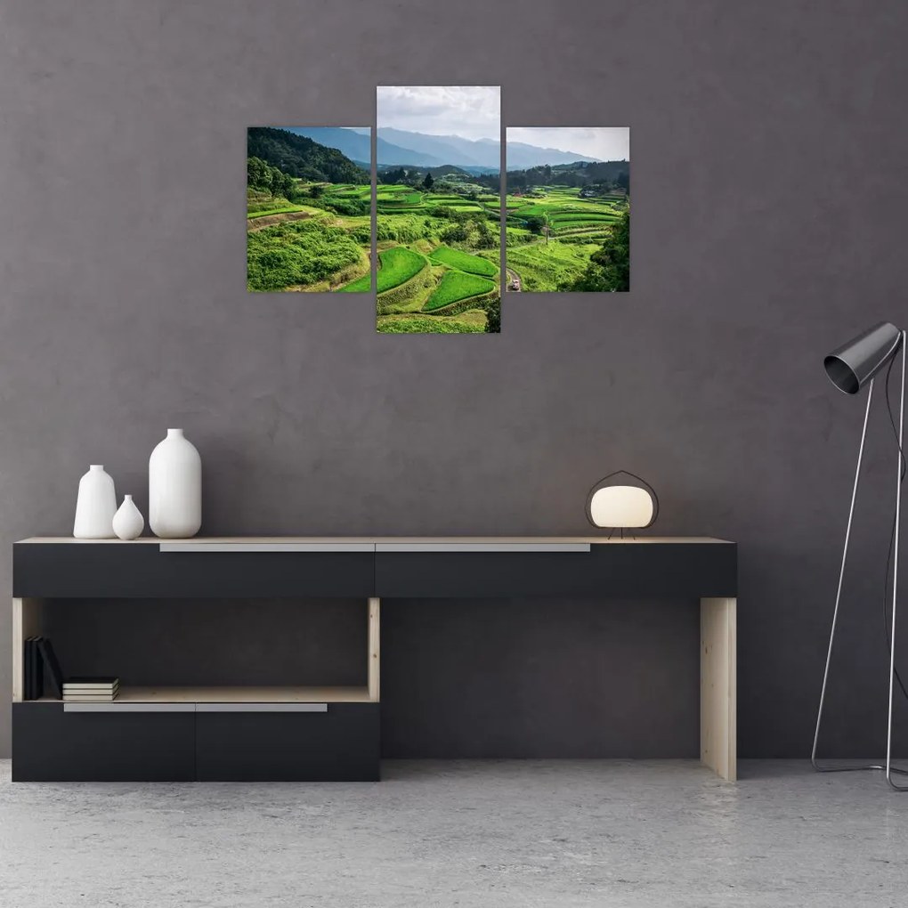 Tablou cu câmp de orez (90x60 cm)
