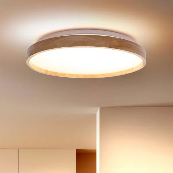 Brilagi - Plafonieră LED dimabilă ALSON LED/48W/230V 3000-6500K + telecomandă