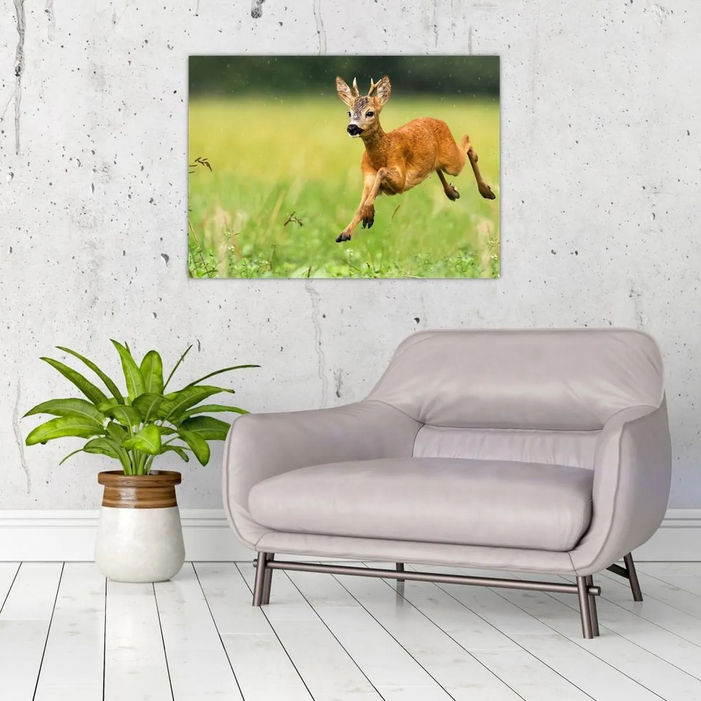 Tablou - Haită (70x50 cm)