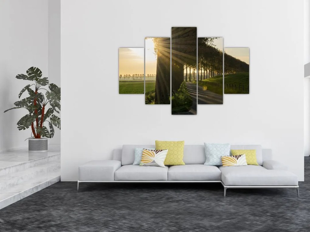 Tablou cu alee (150x105 cm)