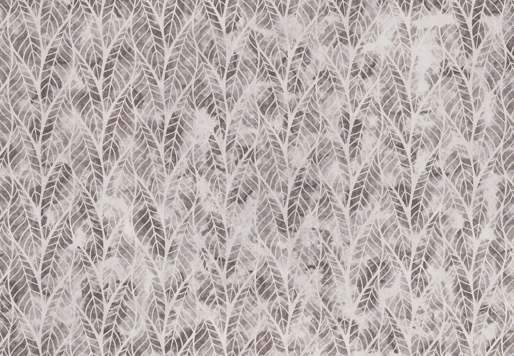 Fototapet - Frunze ajurate, gri (147x102 cm)