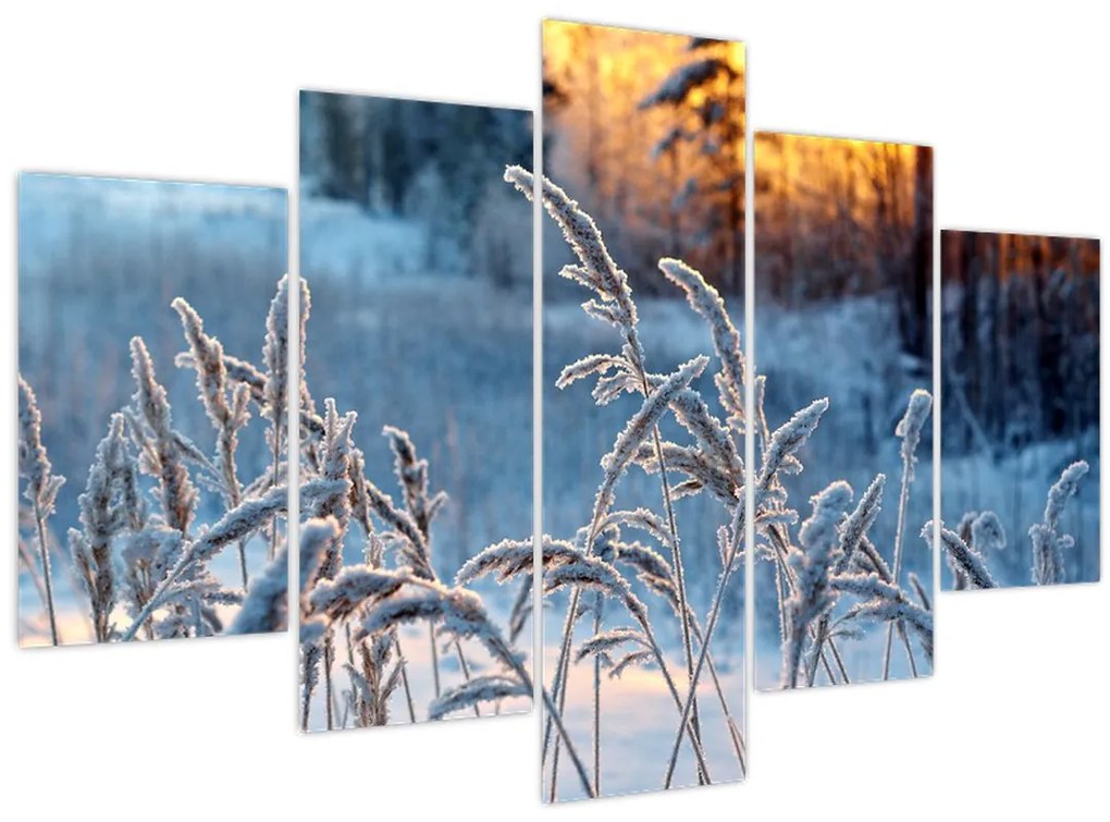Tablou - Pajiște de iarnă (150x105 cm)