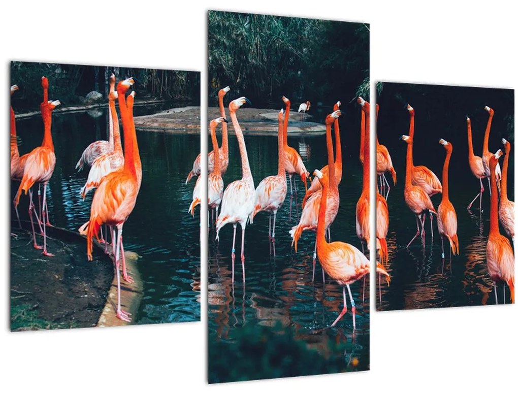 Tablou - turmă de flamingo (90x60 cm)