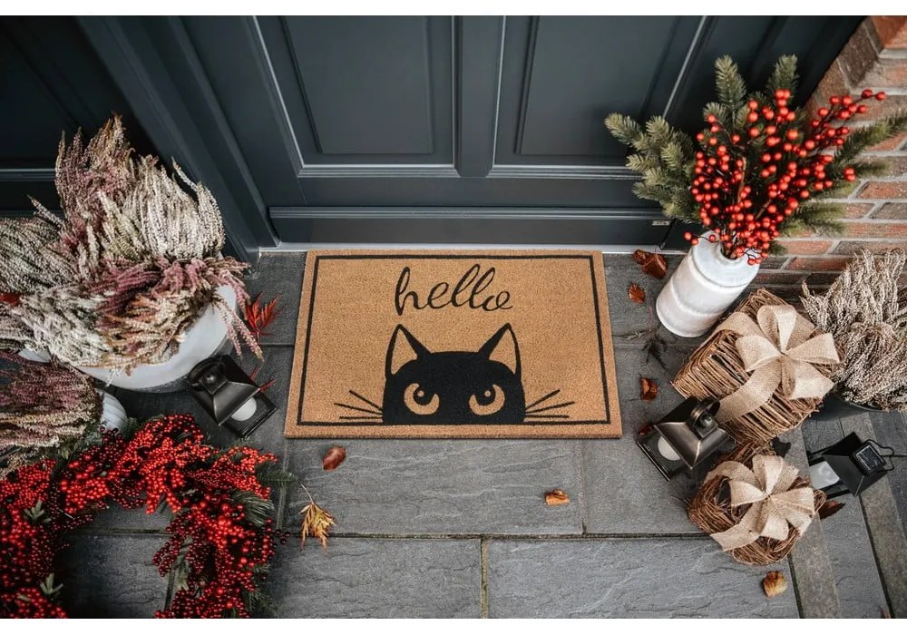 Covoraș de intrare 70x45 cm Mix Mats – Hanse Home