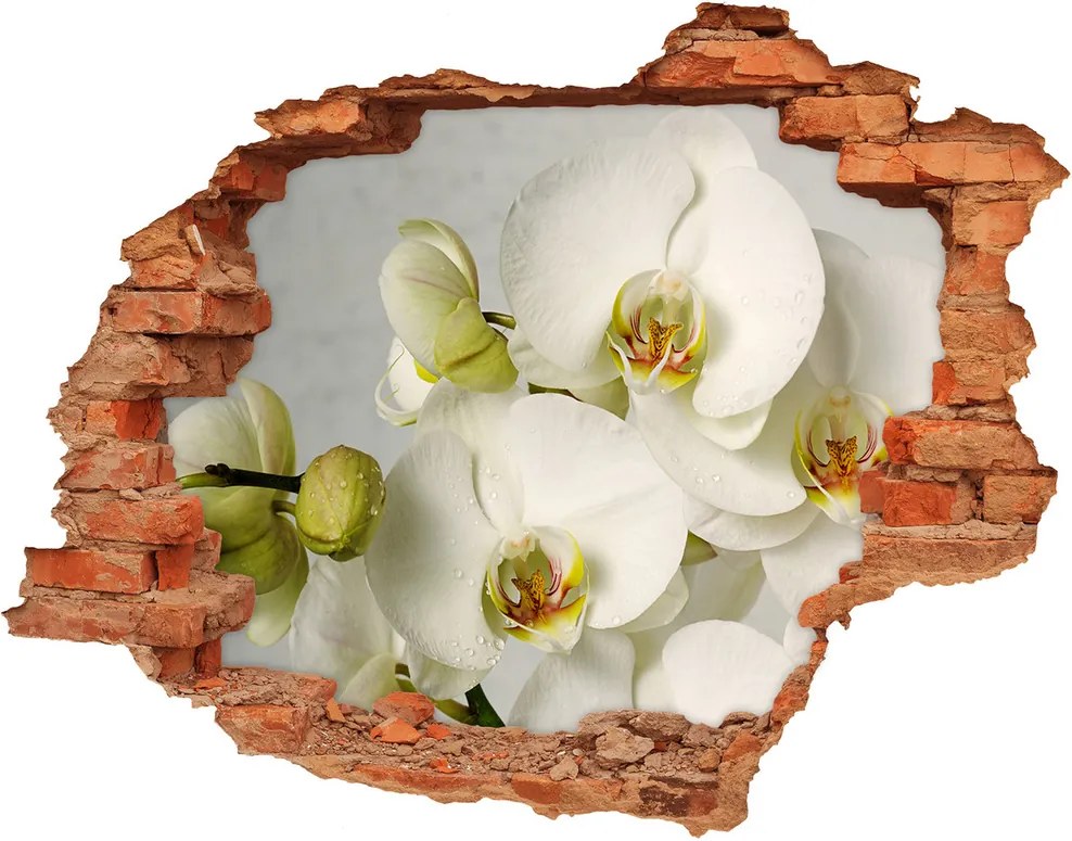 Autocolant de perete gaură 3D Alb orhidee