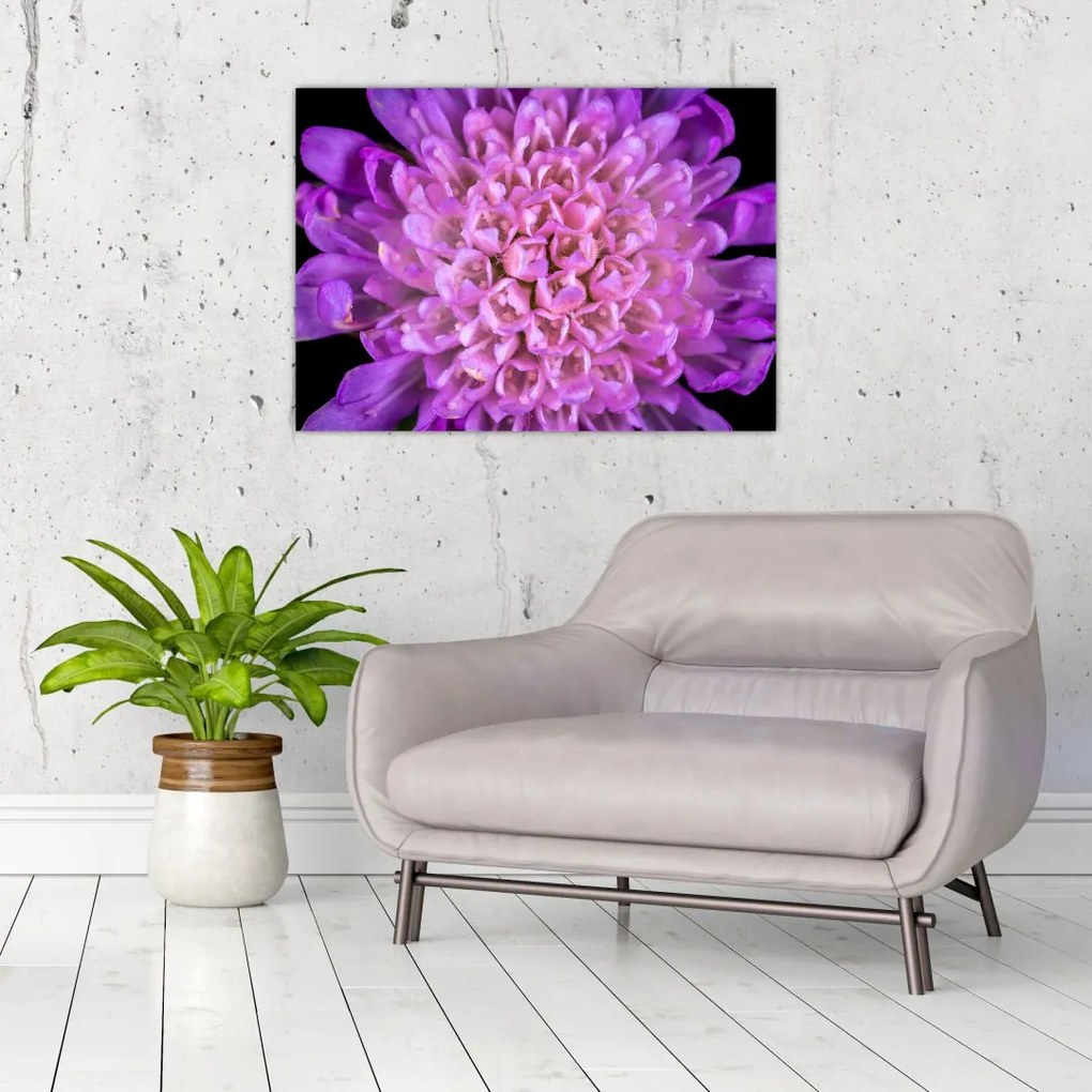 Tablou detailat cu floare (70x50 cm)