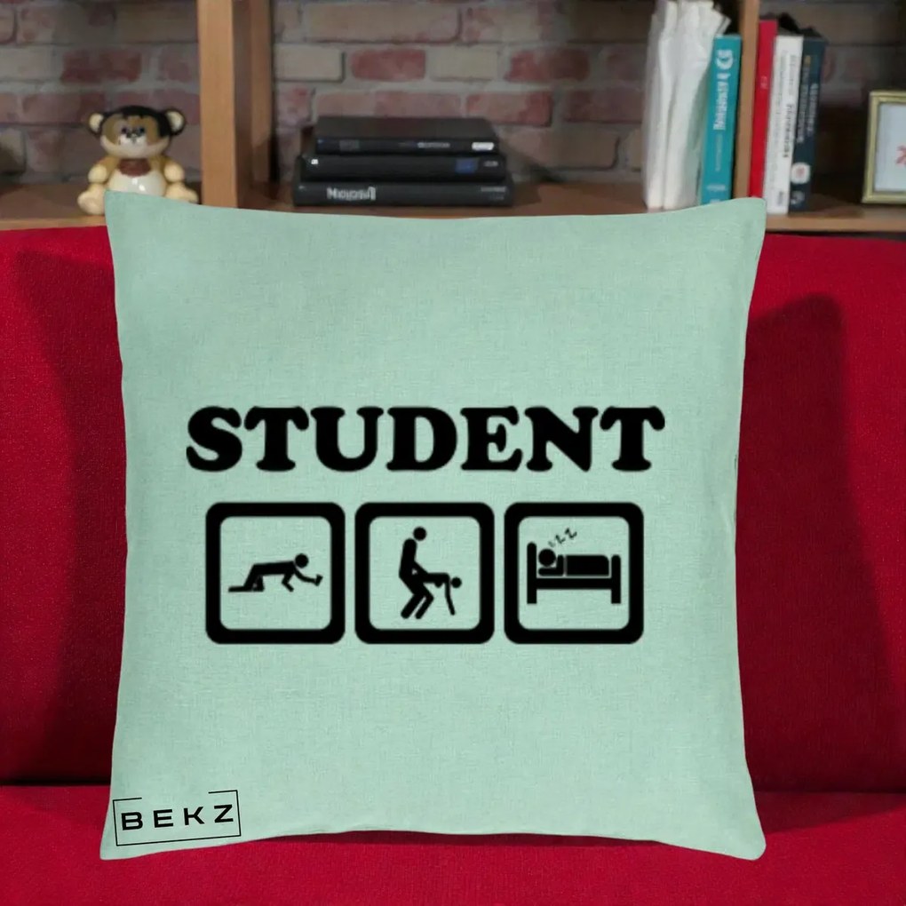Perna Decorativa Student Life, 40x40 cm, Verde Menta, Husa Detasabila, Perna Inclusa, BEKZ®