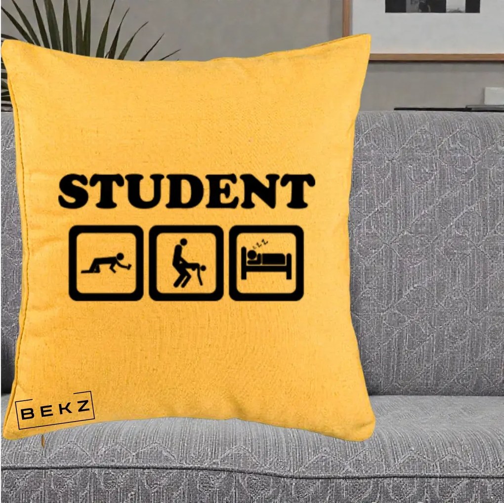 Perna Decorativa Student Life, 40x40 cm, Galben, Husa Detasabila, Perna Inclusa, BEKZ®