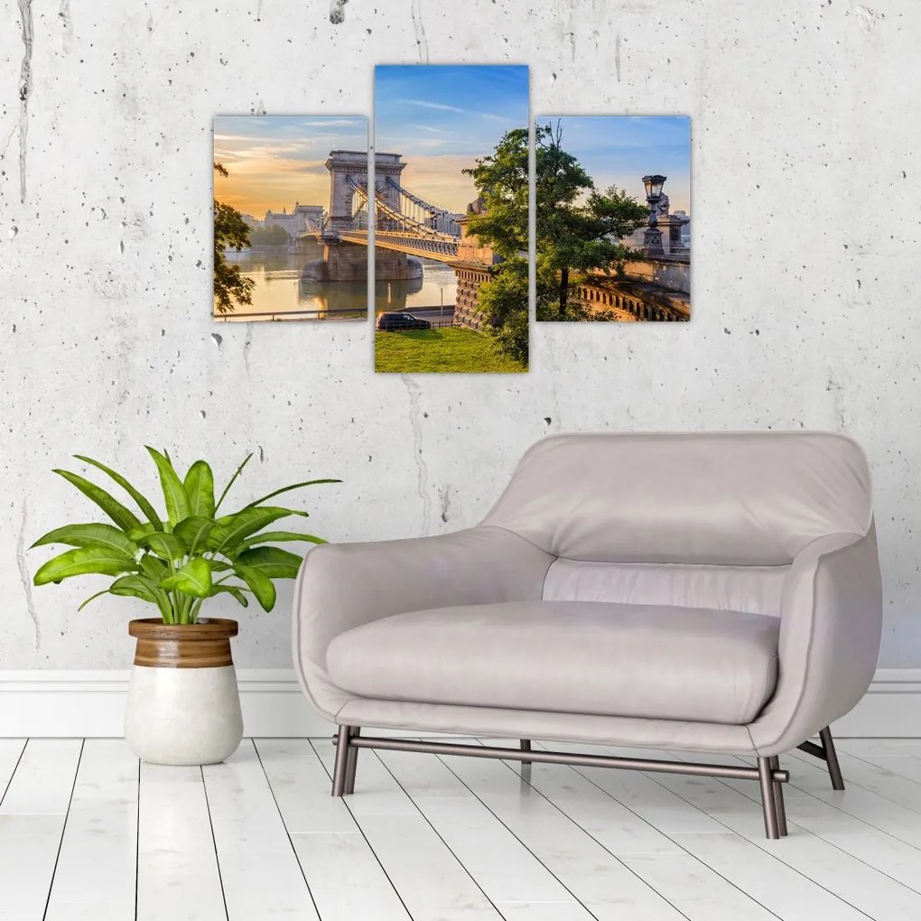 Tablou - Pod peste râu, Budapesta, Ungaria (90x60 cm)