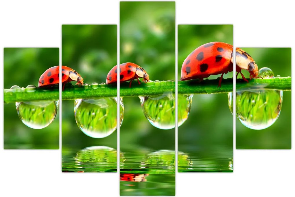 Tablou - Soarele celor șapte sori (150x105 cm)