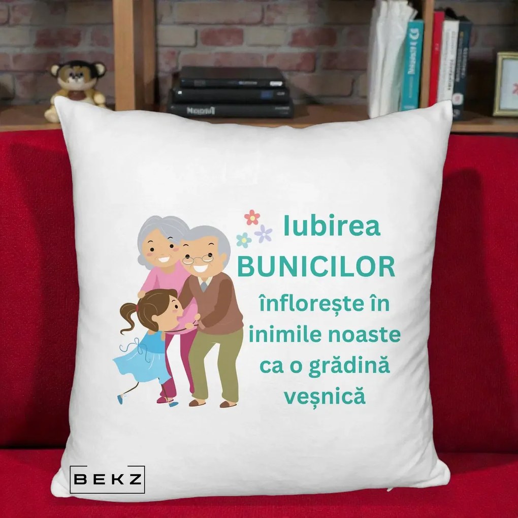 Cadou pentru Bunici - Perna Personalizata Bunicii Iubirea Infloreste cu Nepoata Teal, 40x40 cm, Alb Pufos, Husa Detasabila, Perna Inclusa, BEKZ®