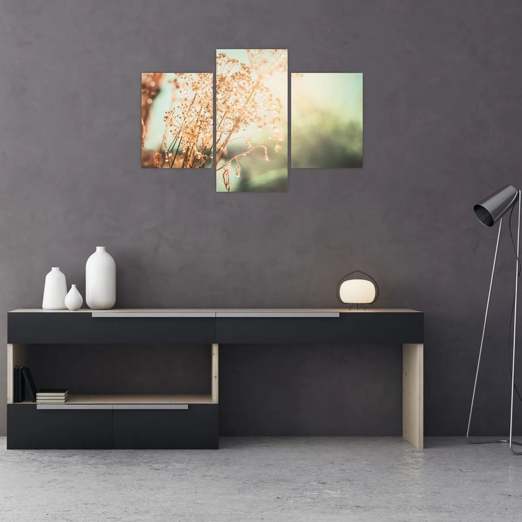 Tablou - Plante de luncă (90x60 cm)