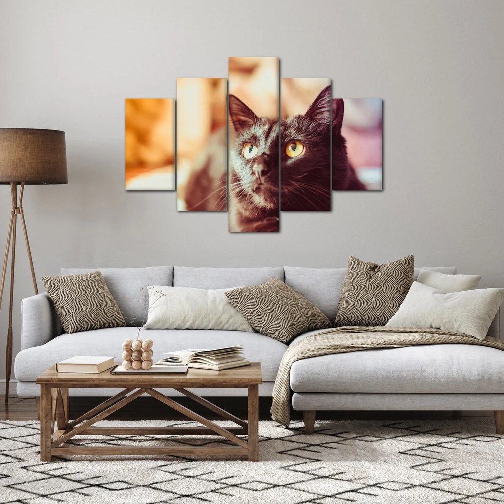 Tablou pisica neagră (150x105 cm)