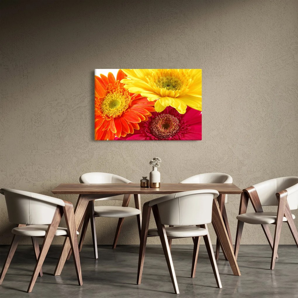 Tablou - Flori Gerbery (90x60 cm)