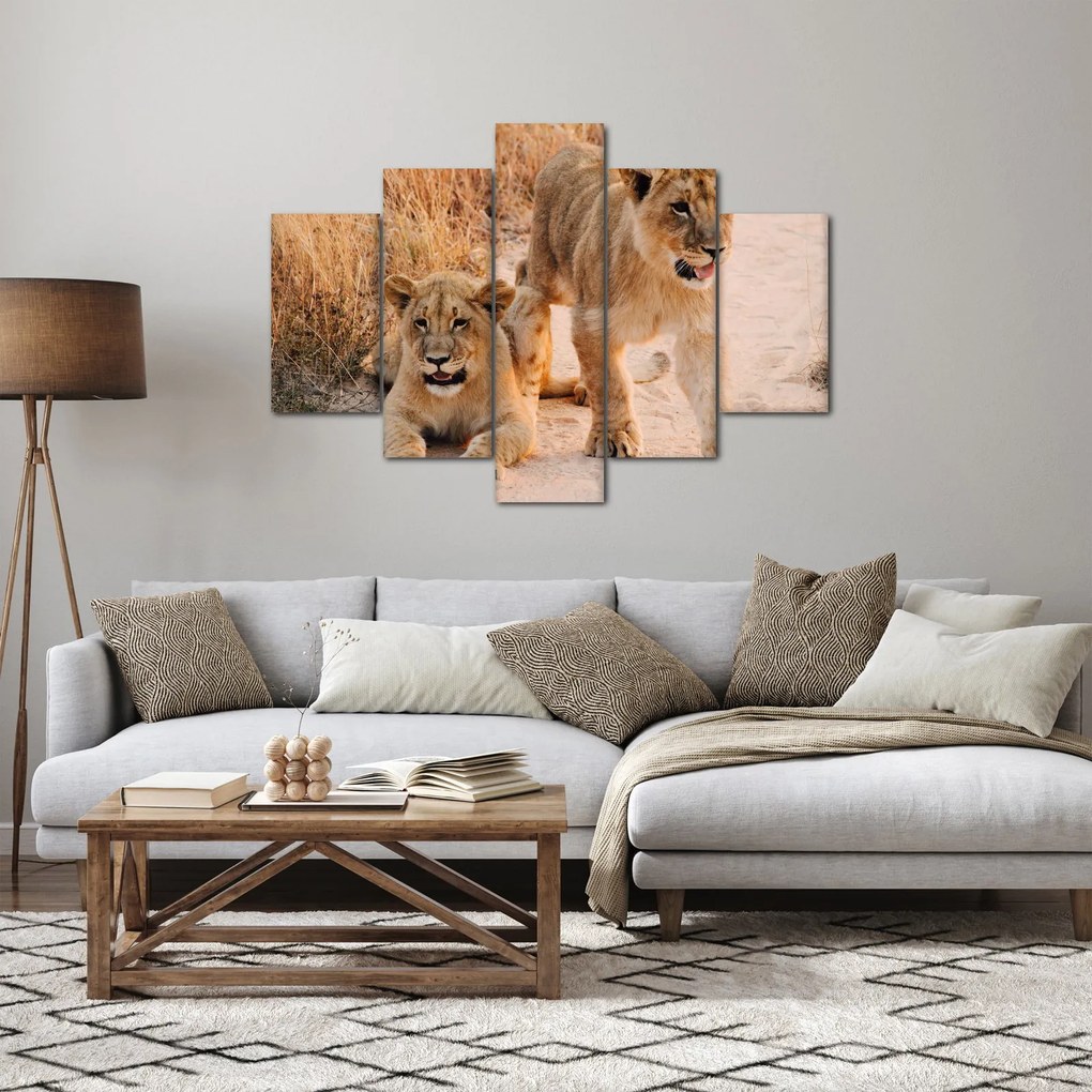 Tablou - Pui de leu (150x105 cm)