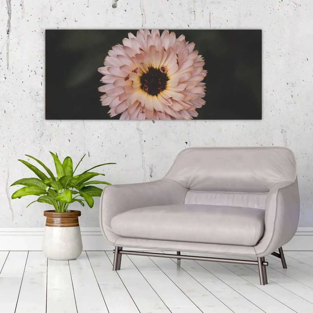 Tablou cu floare portocalie (120x50 cm)