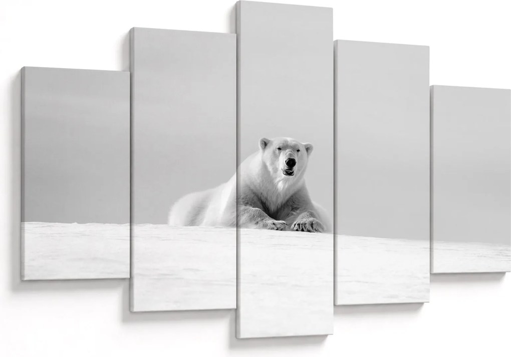 Tablou - Urs polar,alb-negru (150x105 cm)