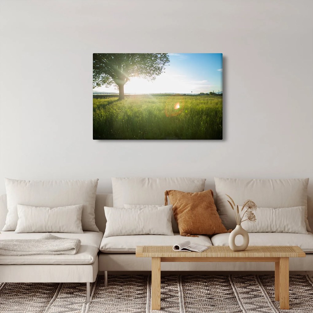 Tablou cu lunca în vară (90x60 cm)