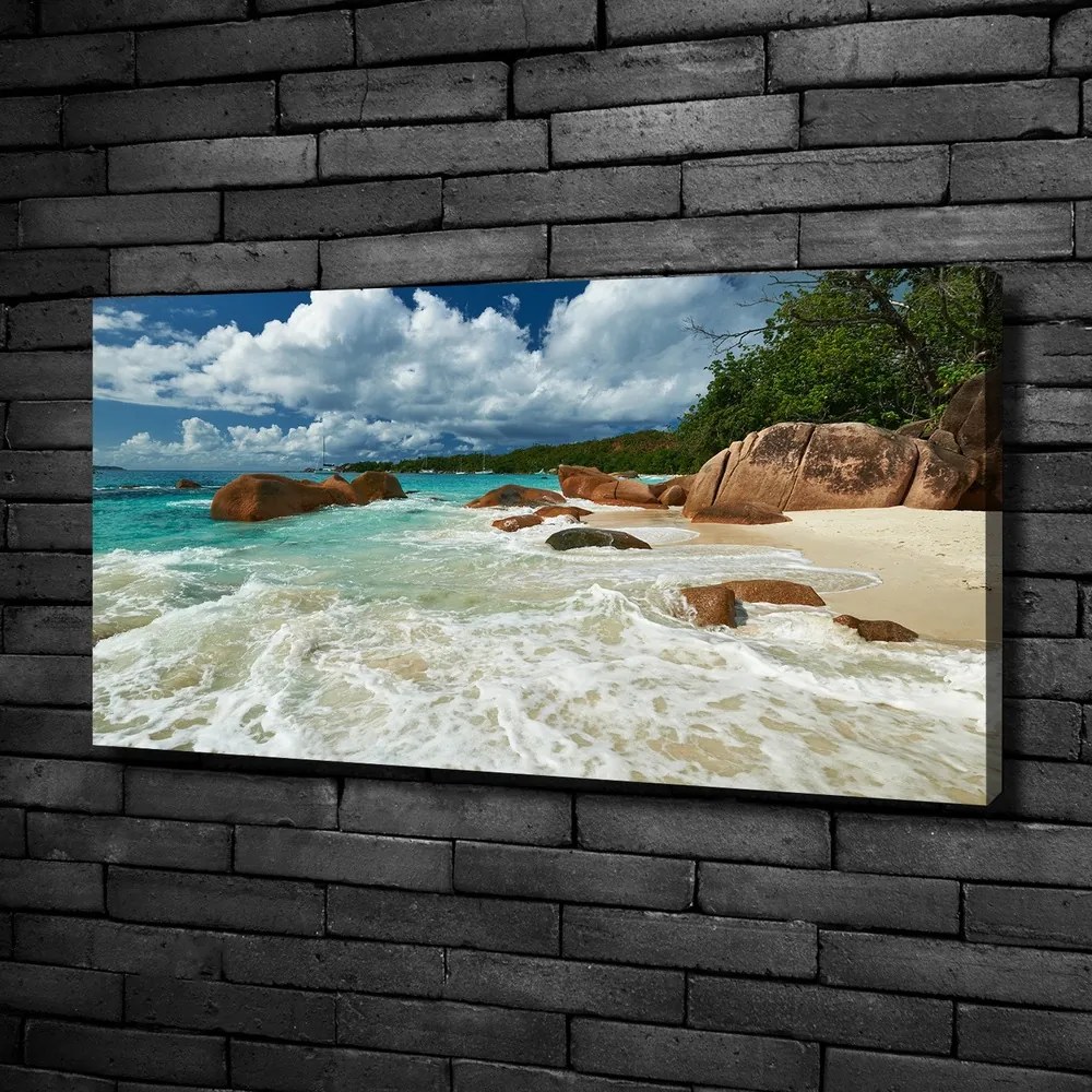 Tablou pe pânză Plaja seychelles