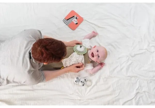 Cutie cadou HELLO BABY Taf Toys