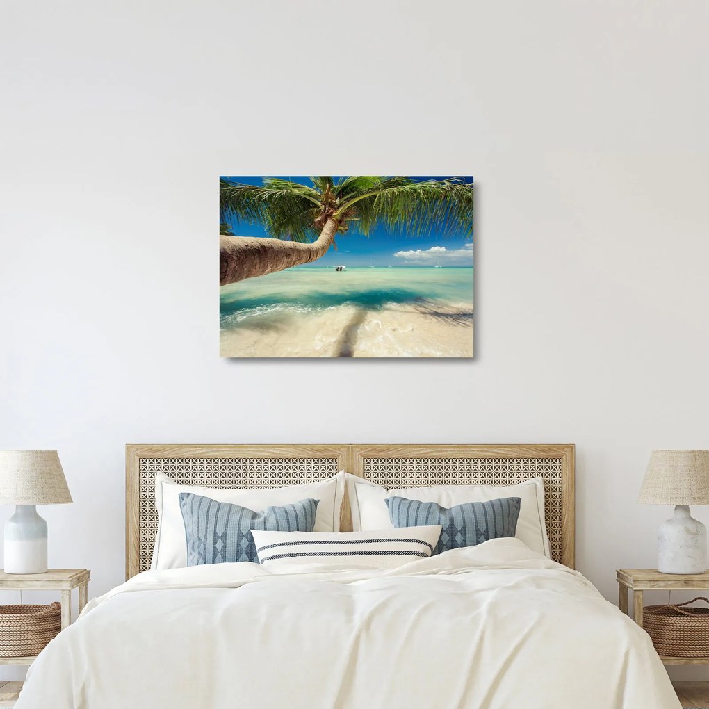 Tablou pe sticlă - Mare curată cu palmier (70x50 cm)