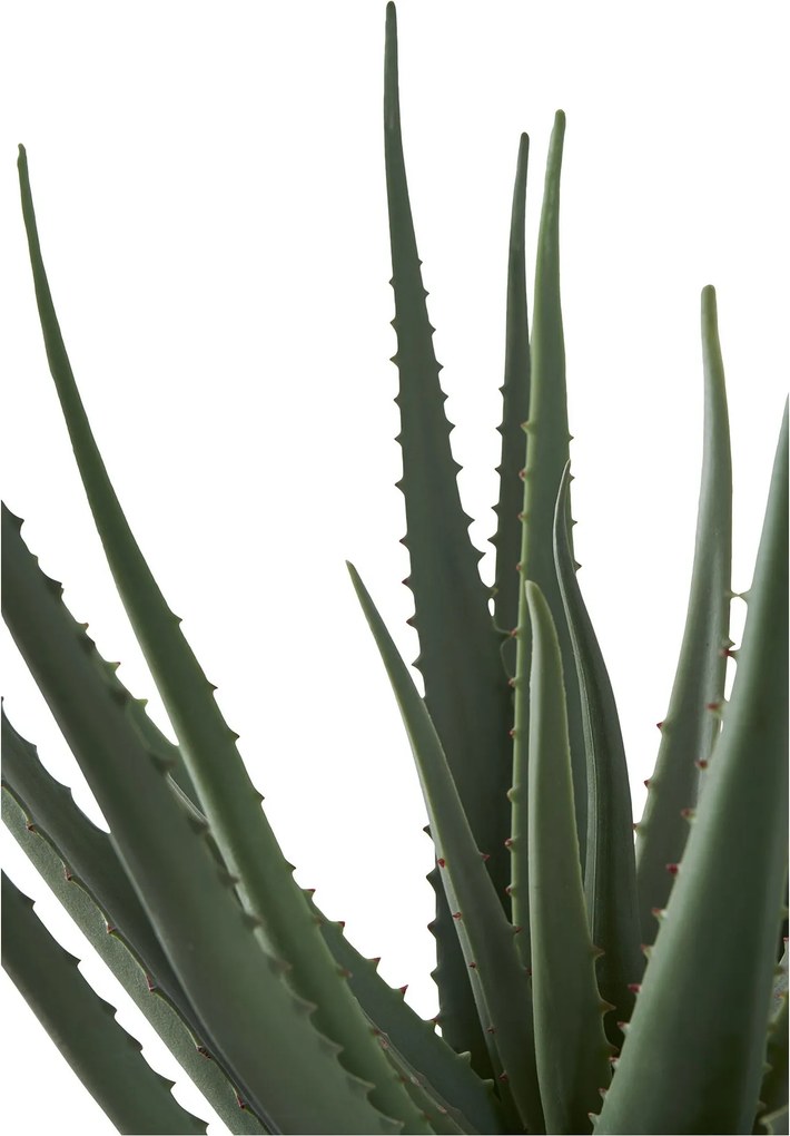 Plantă artificială de Aloe vera Ariaveta (verde). Promo -17%. 1146494