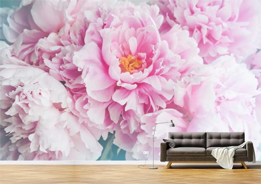Tapet Premium Canvas - Floare roz
