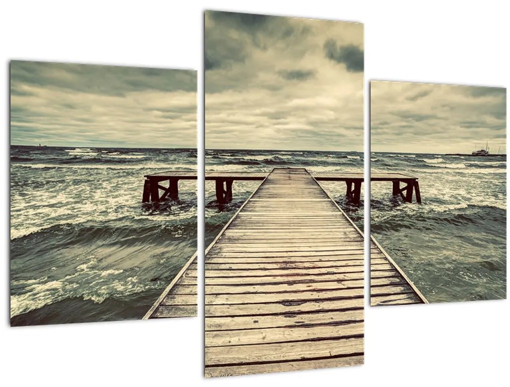 Tablou cu dig din lemn la mare (90x60 cm)