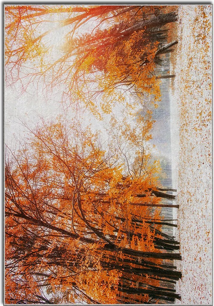 Covor, Asr Crpt-12, 160x230 cm, Multicolor