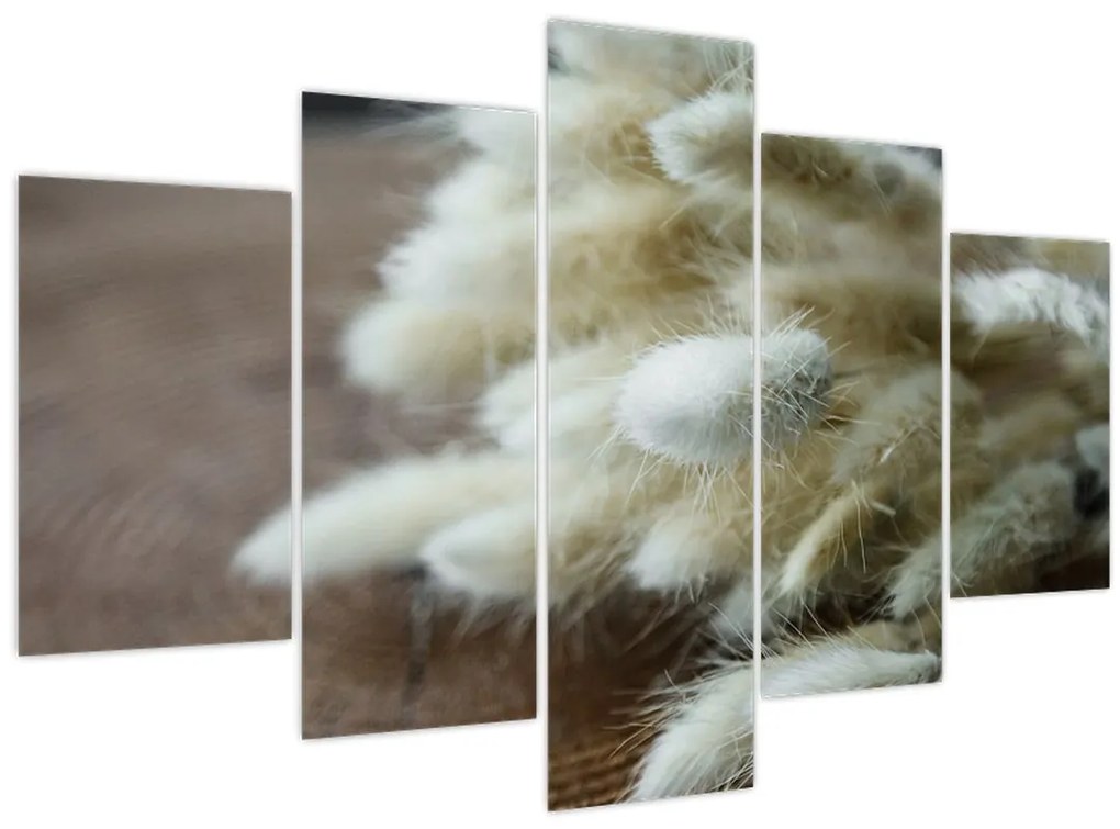 Tablou - Coadă de iepure (150x105 cm)