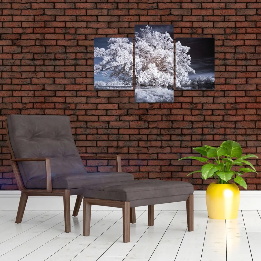 Tablou - Albă ca Zăpada Copac (90x60 cm)