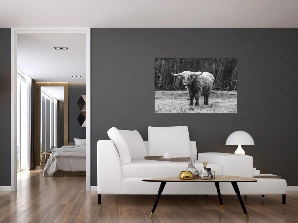 Tablou - Vacă scoțiană 3,alb-negru (90x60 cm)