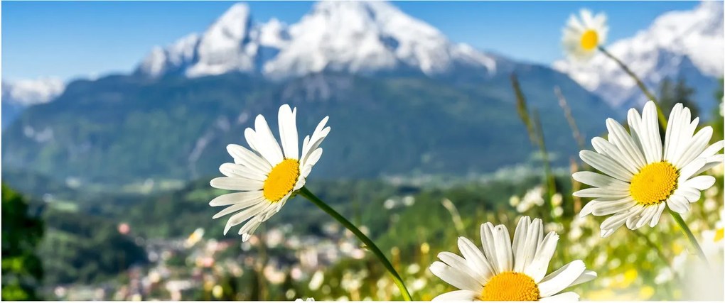 Tablou - Primăvara în Alpi (120x50 cm)