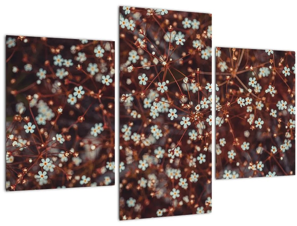 Tablou cu floare de nu mă uita (90x60 cm)