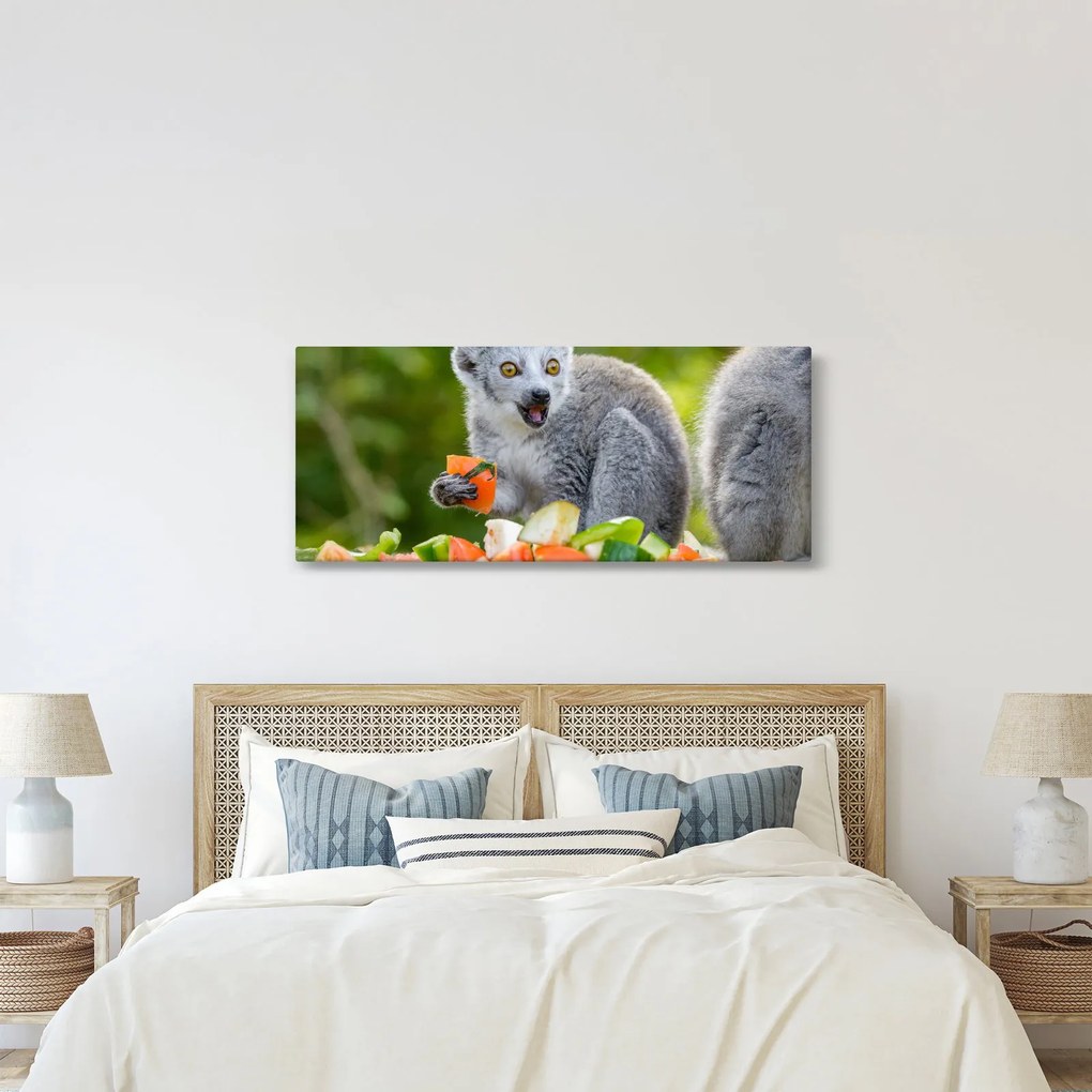 Tablou cu lemur (120x50 cm)