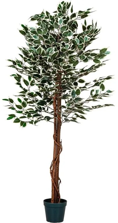 Planta de copac artificial - ficus - 160 cm