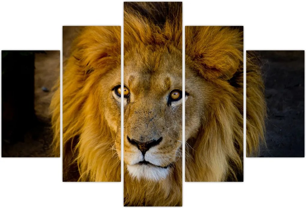 Tablou - Portret de leu (150x105 cm)
