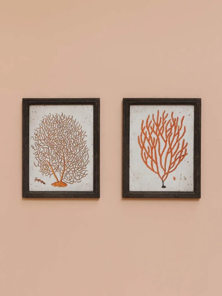 Set 2 tablouri, Coral
