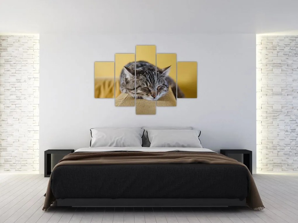 Tablou cu pisica pe fotoliu (150x105 cm)