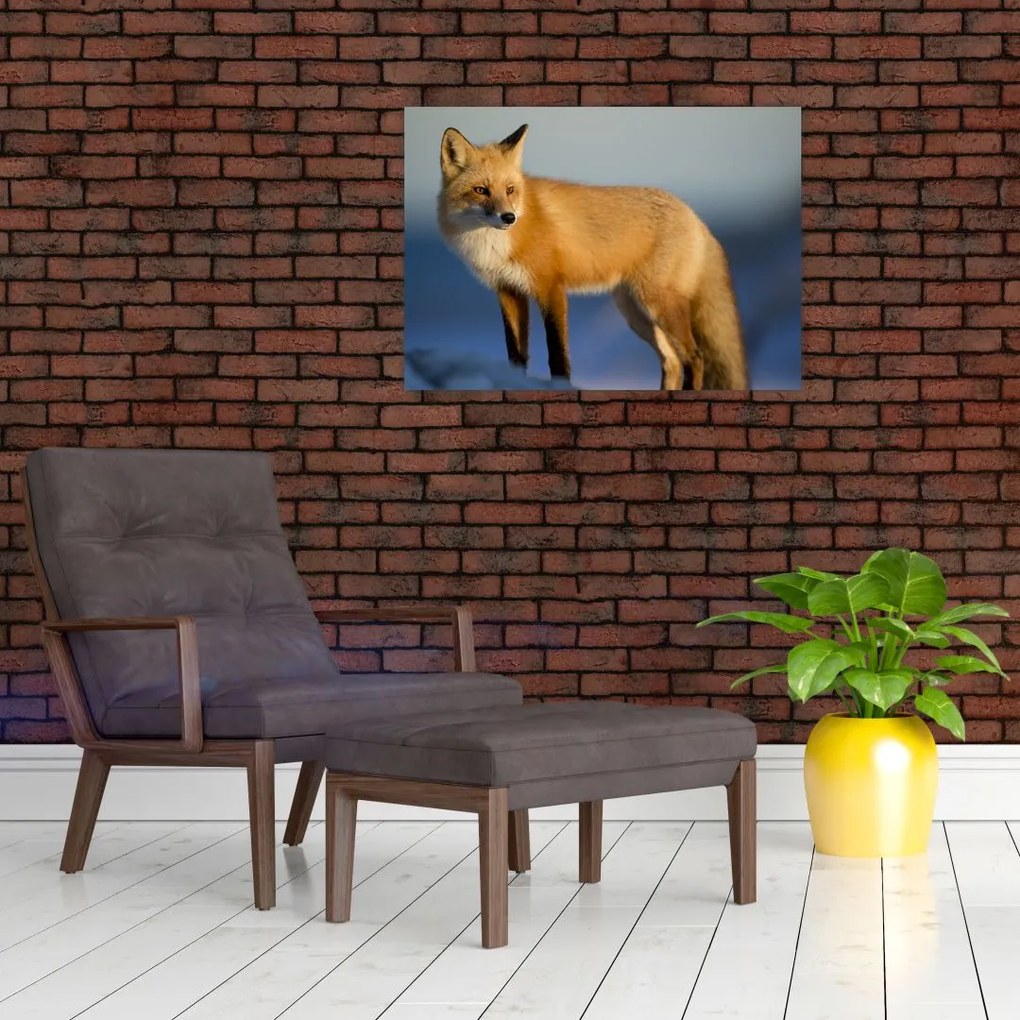 Tablou -Vulpea pe zăpadă (70x50 cm)