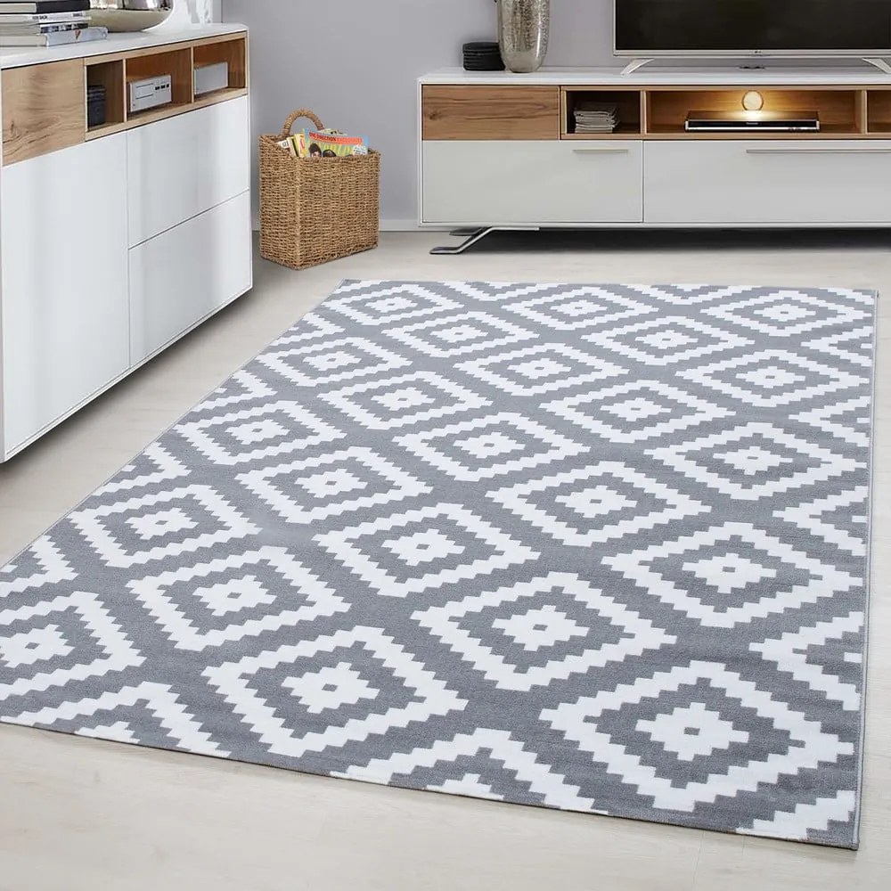 Covor gri deschis 160x230 cm Plus – Ayyildiz Carpets