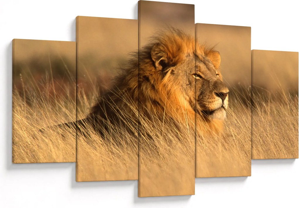 Tablou - Parcul Național Etosha (150x105 cm)
