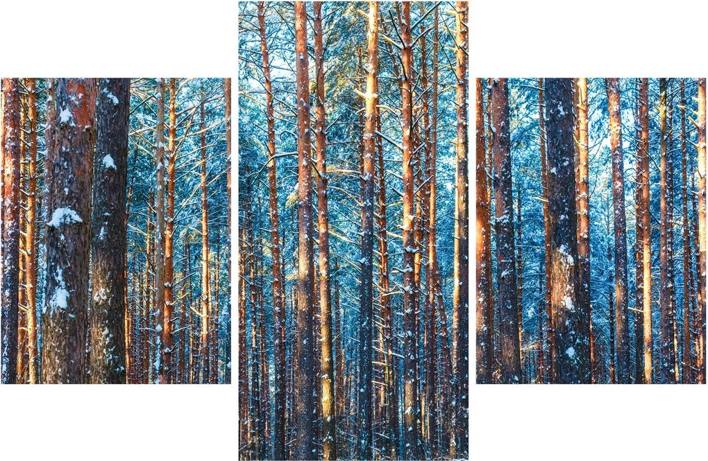 Tablou - Pădurea iarna (90x60 cm)