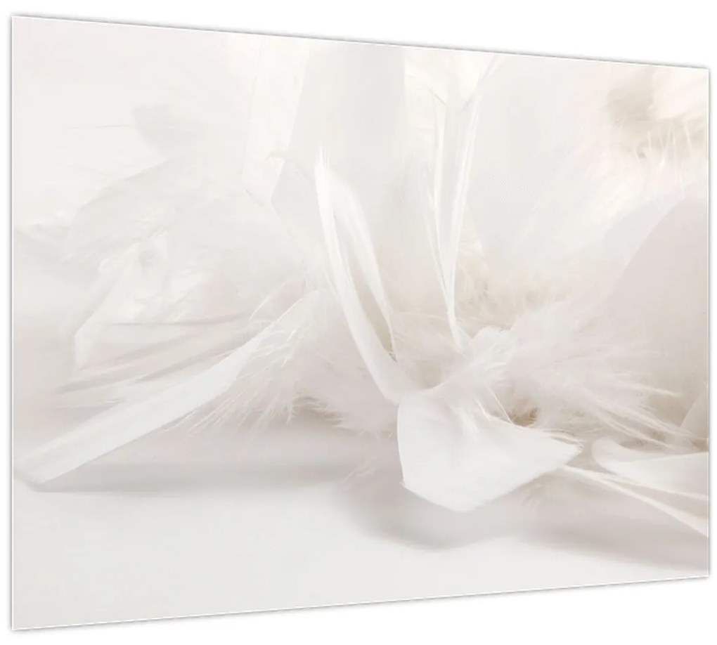 Tablou - Pană (70x50 cm)