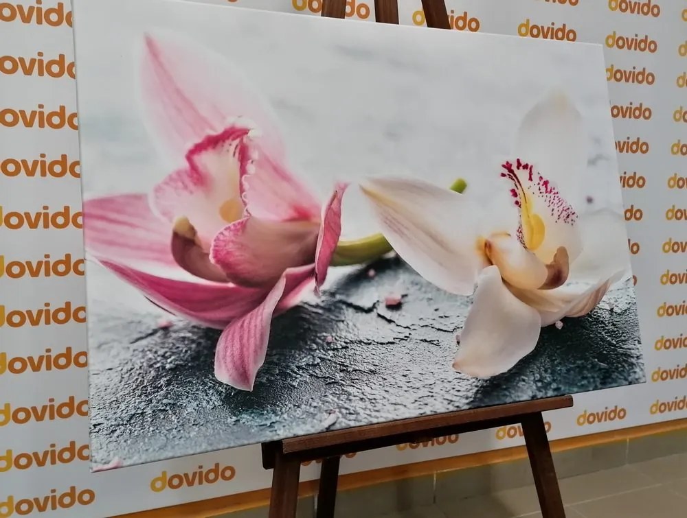 Tablou două flori colorate de orhidee