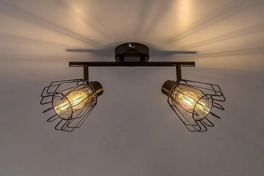 Plafoniera stil industrial Emerencia 2L