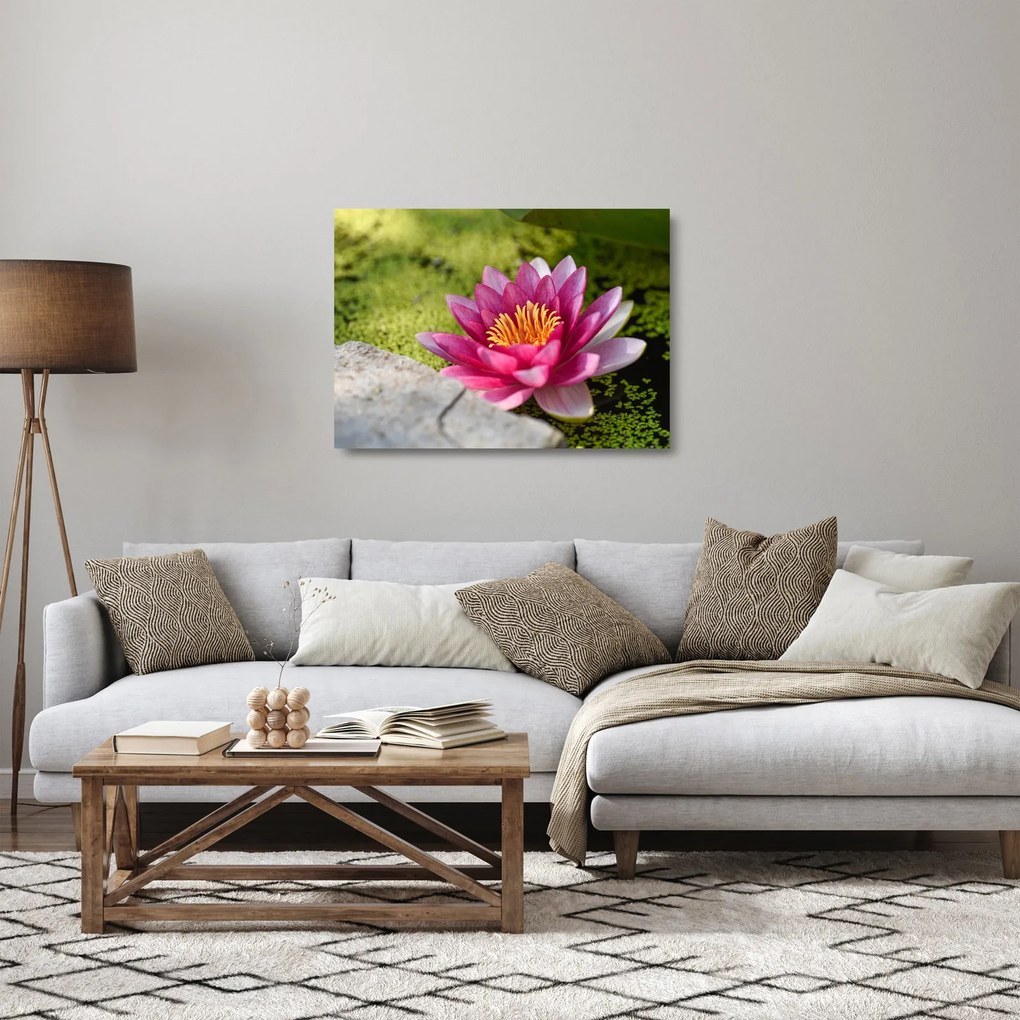 Tablou pe sticlă - Lotus (70x50 cm)
