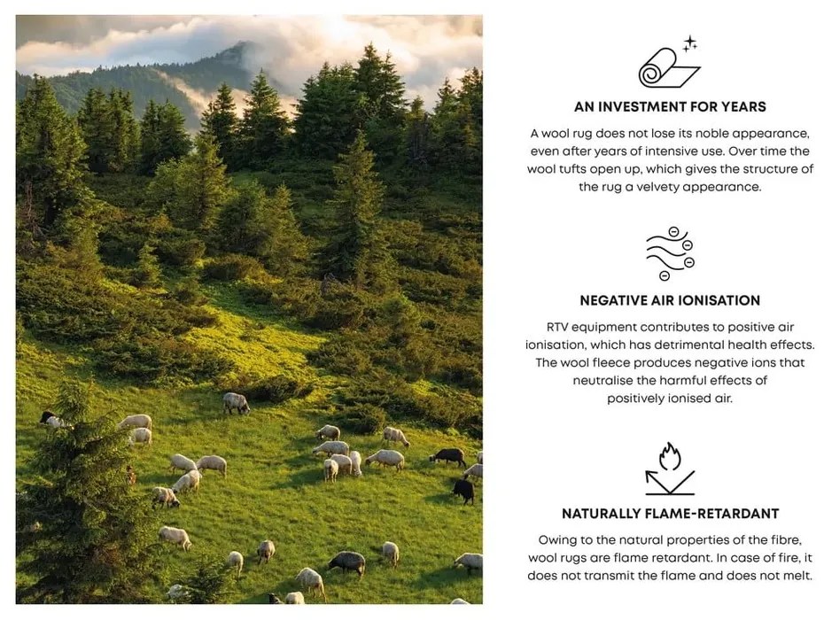 Covor maro din lână 170x240 cm Astrid – Agnella