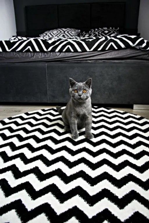 Covor Sketch rotund - F561 negru și alb - Zig Zag